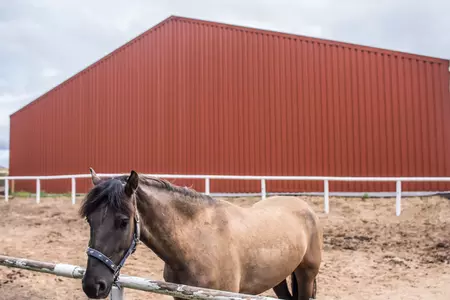 Hala namiotowa- Nieżywiec