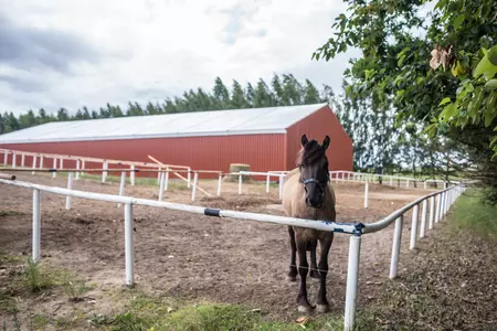 Hala namiotowa- Nieżywiec