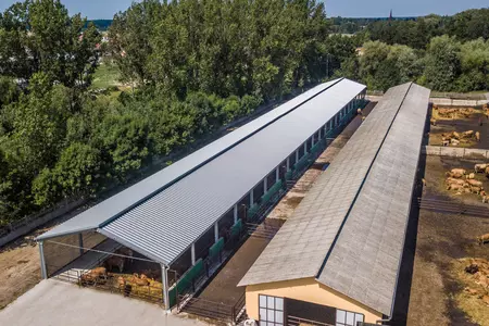 Hale stalowe- Niechłód