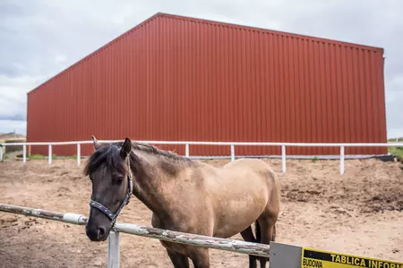 Jak wybrać halę na siano?